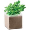 Gardeny vrecko so semienkami, petržlen Gardeny vrecko so semienkami, petržlen
