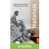 E-kniha Náčelník - Aleš Palán E-kniha Náčelník - Aleš Palán