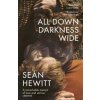 All Down Darkness Wide - Sean Hewitt, Vintage Publishing All Down Darkness Wide - Sean Hewitt, Vintage Publishing