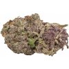 Growers Choice - Ultra Violet GMO 5 ks - Semená neobsahujú THC Growers Choice - Ultra Violet GMO 5 ks - Semená neobsahujú THC