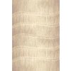 Kusový koberec Tytus beige 80 x 120 cm Kusový koberec Tytus beige 80 x 120 cm