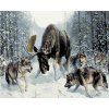 Maľovanie podľa čísel – Los s vlkmi, 100 × 80 cm, napnuté plátno na rám 8596530023791 Maľovanie podľa čísel – Los s vlkmi, 100 × 80 cm, napnuté plátno na rám 8596530023791