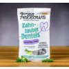 Fellows Hmyzí dentálne tyčinky 160 g Fellows Hmyzí dentálne tyčinky 160 g
