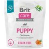 RIT BRIT Care Puppy Salmon - suché krmivo pre psov - 1 kg RIT BRIT Care Puppy Salmon - suché krmivo pre psov - 1 kg