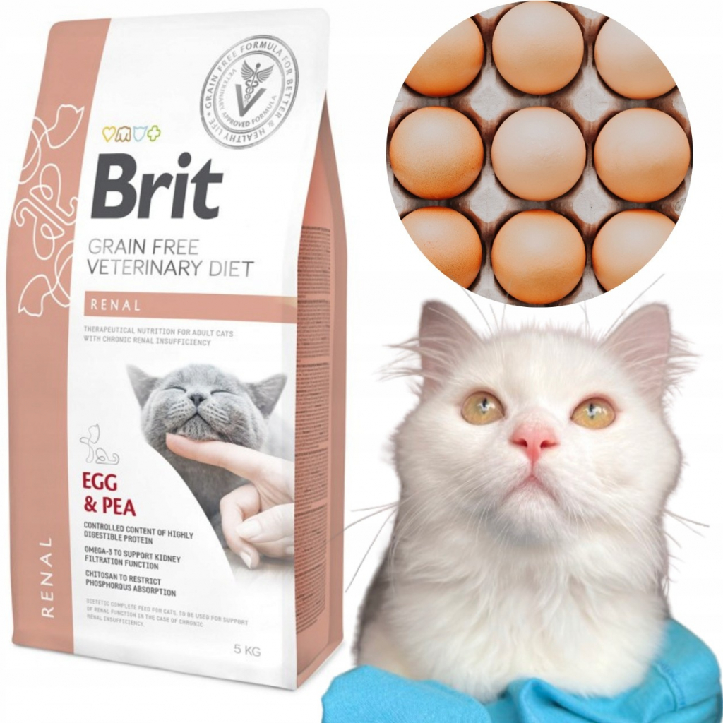 Brit VD Cat GF Renal 5 kg