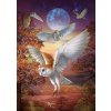 ART PUZZLE Puzzle Nočné sovy 1000 dielikov ART PUZZLE Puzzle Nočné sovy 1000 dielikov