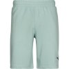 Puma ESS 2 COLOR LOGO SHORT Zelená