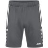 Jako Trainingsshort Allround 8589-820