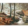 Diamondi Diamantové maľovanie - LÍŠKA PRI POTOKU (D. RUSTY RUST) Rámovanie: bez rámu a bez vypnutia plátna, Rozmer: 40x50 cm Diamondi Diamantové maľovanie - LÍŠKA PRI POTOKU (D. RUSTY RUST) Rámovanie: bez rámu a bez vypnutia plátna, Rozmer: 40x50 cm