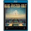 Blue Oyster Cult: First Night - 50th Anniversary: Blu-ray Blue Oyster Cult: First Night - 50th Anniversary: Blu-ray