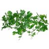 Lucky Reptile Jungle Vine - Gape Leaf Vine ca. 200 cm Lucky Reptile Jungle Vine - Gape Leaf Vine ca. 200 cm