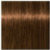 SCHWARZKOPF Igora Royal Absolutes 60ml - tmavá blond prírodná zlatá 6-50 SCHWARZKOPF Igora Royal Absolutes 60ml - tmavá blond prírodná zlatá 6-50