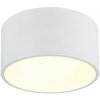 Globo RAYMOND 56964W LED stropnica | 12W LED | 900lm | 3000K Globo RAYMOND 56964W LED stropnica | 12W LED | 900lm | 3000K