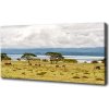 Foto obraz na plátne Jazero Naivasha 100x50 cm Foto obraz na plátne Jazero Naivasha 100x50 cm