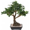 Umelý Bonsai Ficus folia v kvetináči, 58cm Umelý Bonsai Ficus folia v kvetináči, 58cm
