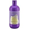 Inebrya Blondesse No-Yellow šampón proti žltým odleskom 300 ml