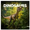 NOTIQUE Poznámkový Dinosaury 30 x 30 cm 2026 NOTIQUE Poznámkový Dinosaury 30 x 30 cm 2026