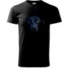 Čierny Labrador fotka - Klasické pánske tričko vyššej gramáže - 3XL ( Čierna ) Čierny Labrador fotka - Klasické pánske tričko vyššej gramáže - 3XL ( Čierna )