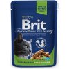 BRIT Premium cat Kapsička Sterilised Chicken Slice 100g BRIT Premium cat Kapsička Sterilised Chicken Slice 100g