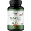 Čaga Plus, 90 kapsúl | až na 3 mesiace | 0,26€/deň | Medicinalne huby - Liečba inak Čaga Plus, 90 kapsúl | až na 3 mesiace | 0,26€/deň | Medicinalne huby - Liečba inak