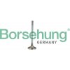 Borsehung Sací ventil B19021 Borsehung Sací ventil B19021