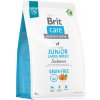 Brit Care Grain-free Junior Large Breed Salmon 3 kg Brit Care Grain-free Junior Large Breed Salmon 3 kg