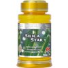 Silica Star - praslička roľná Silica Star - praslička roľná