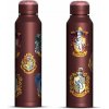 Harry Potter Fľaša nerezová slim 550 ml Harry Potter Fľaša nerezová slim 550 ml
