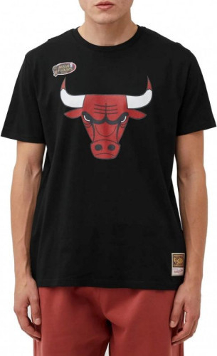 Mitchell & Ness NBA Chicago Bulls Team Logo Tee