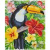 Vimalor Diamantové maľovanie Tukan 34 x 43 cm Vimalor Diamantové maľovanie Tukan 34 x 43 cm