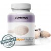 MycoMedica, COPRINUS medicinálna huba, 90 kapsúl (Medicinálna huba) MycoMedica, COPRINUS medicinálna huba, 90 kapsúl (Medicinálna huba)