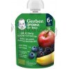 Gerber Organic Kapsička Jablko, banán, čučoriedka bio ovocná desiata (od ukonč. 6. mesiaca) 1x90 g Gerber Organic Kapsička Jablko, banán, čučoriedka bio ovocná desiata (od ukonč. 6. mesiaca) 1x90 g