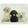 Mars & More 4ks pevné korkové prestieranie štěňatá labradora - 30*40*0,4cm - Mars & More Mars & More 4ks pevné korkové prestieranie štěňatá labradora - 30*40*0,4cm - Mars & More