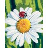 ZUTY Maľovanie podľa čísel - LIENKA NA HARMANČEKU Rámovanie: bez rámu a bez vypnutia plátna, Rozmer: 40x50 cm ZUTY Maľovanie podľa čísel - LIENKA NA HARMANČEKU Rámovanie: bez rámu a bez vypnutia plátna, Rozmer: 40x50 cm