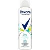 Rexona Blue Poppy & Apple deospray 150 ml Rexona Blue Poppy & Apple deospray 150 ml
