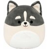 Squishmallows Pomsky Paolo