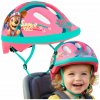 Seven paw patrol girls