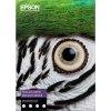 Epson C13S450281