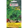 Oregano, semienka pamajoránu obyčajného 0,1g Oregano, semienka pamajoránu obyčajného 0,1g