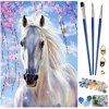Pronett x J5576 Maľba podľa čísel biely kôň 40 x 50 cm Pronett x J5576 Maľba podľa čísel biely kôň 40 x 50 cm