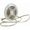 LED páska Ecolight 24V IP65 11W/m 5 m studená biela LED páska Ecolight 24V IP65 11W/m 5 m studená biela