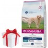 EUKANUBA Daily Care Overweight Adult Dog 12kg + Prekvapenie pre psa ZADARMO! EUKANUBA Daily Care Overweight Adult Dog 12kg + Prekvapenie pre psa ZADARMO!