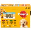 Pedigree Junior kura jahňa hydina hovädzie v želé 12 x 100 g Pedigree Junior kura jahňa hydina hovädzie v želé 12 x 100 g