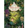 Mágikus állatok iskolája 11. - Vad erdőben Mágikus állatok iskolája 11. - Vad erdőben