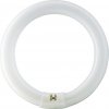 Osram Kruhová žiarivka Lumilux T9, G10Q, 32 W, 2100 lm, 4000 K, opálová