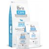 BRIT Care dog Grain free Junior Large Breed Salmon & Potato 1 kg BRIT Care dog Grain free Junior Large Breed Salmon & Potato 1 kg