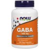 Výživový doplnok Now Foods GABA 500mg aminokyseliny kapsuly 100 ks Výživový doplnok Now Foods GABA 500mg aminokyseliny kapsuly 100 ks