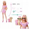 BÁBIKA BARBIE TWINNING LOOKS SO PSÍKOM A ZLADENÝMI OUTFITMI DARČEK BÁBIKA BARBIE TWINNING LOOKS SO PSÍKOM A ZLADENÝMI OUTFITMI DARČEK