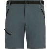 Regatta Xert Stretch Shorts