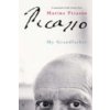 Picasso Picasso
